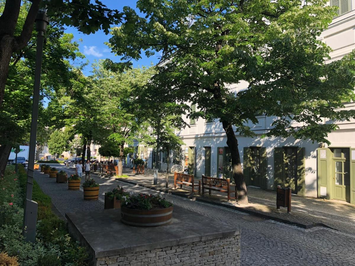 Kedves Vendeghaz Bed and Breakfast Balatonfüred Εξωτερικό φωτογραφία