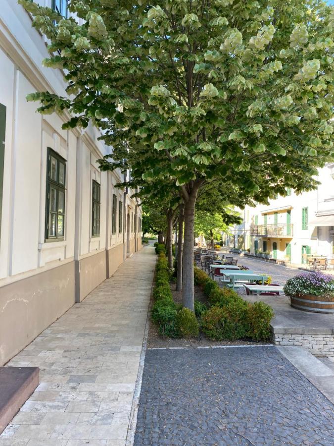Kedves Vendeghaz Bed and Breakfast Balatonfüred Εξωτερικό φωτογραφία